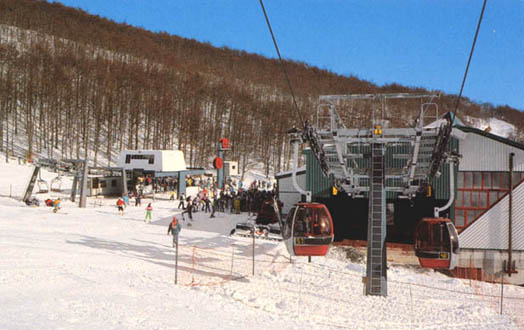 Лыжная база Аремонья